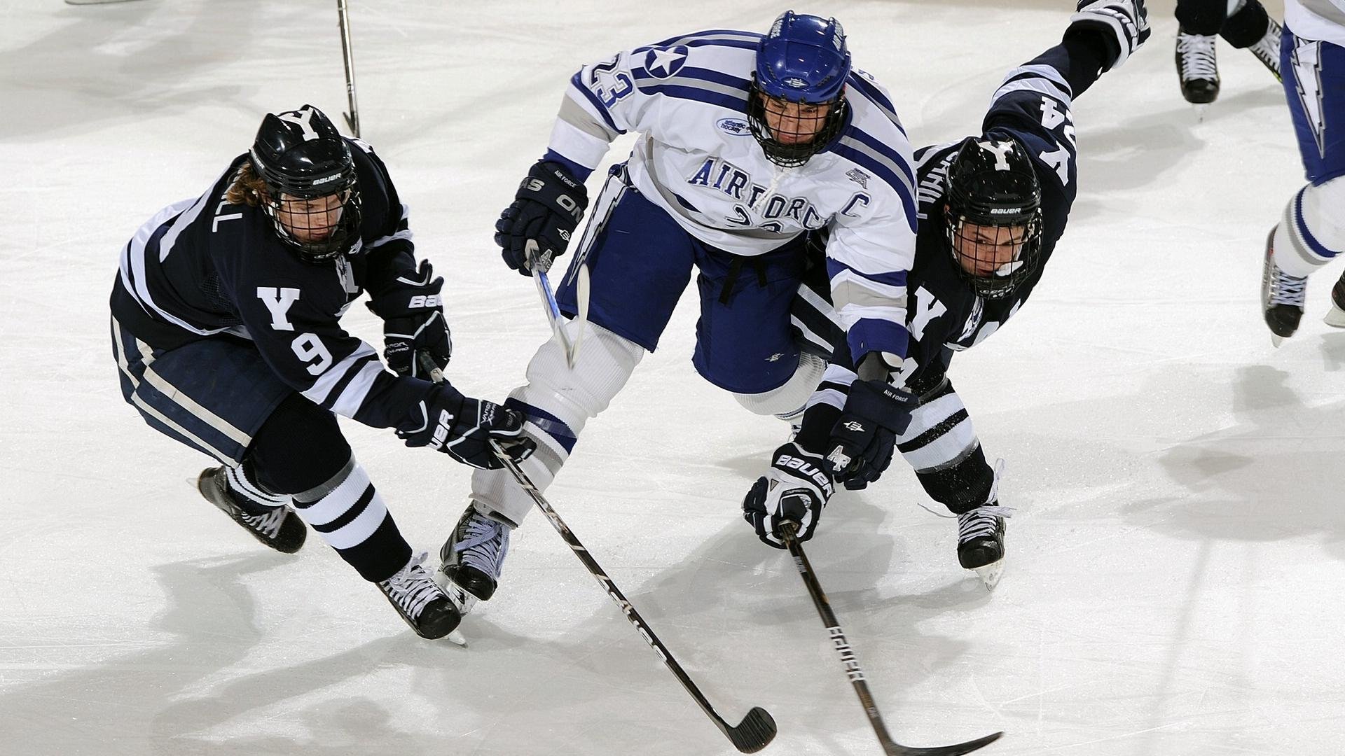 体育数据标准化工作组发布最新文件,体育标准化管理办法