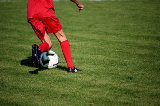 开云体育app下载-足球场馆数字化管理平台正式上线，提升运营效率，足球场管理系统app